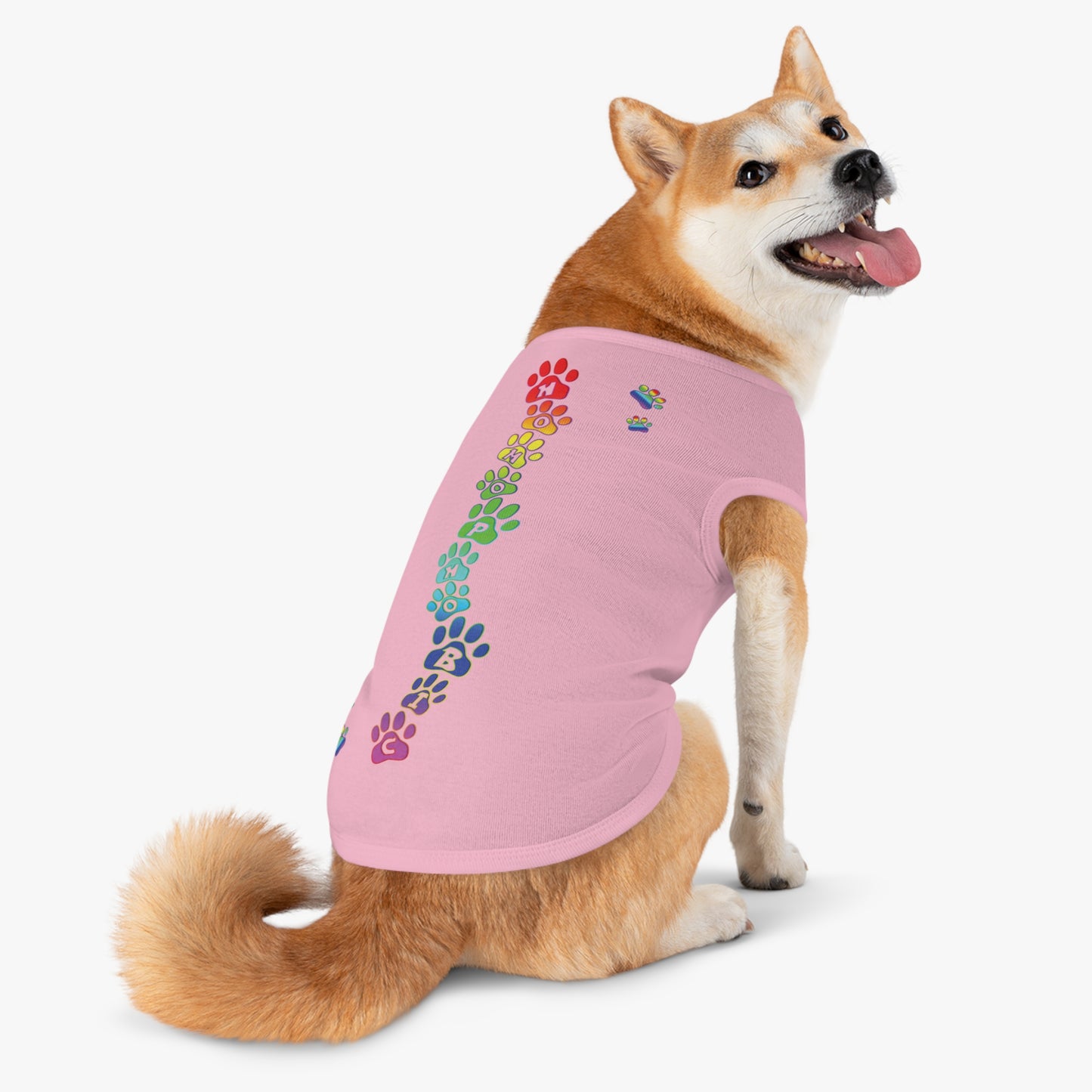 Homophobic shirt for pets