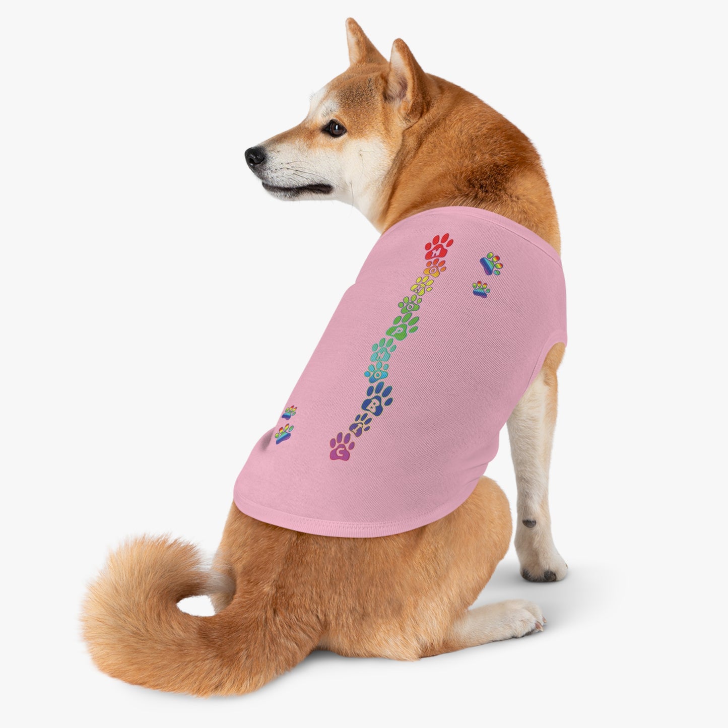 Homophobic shirt for pets