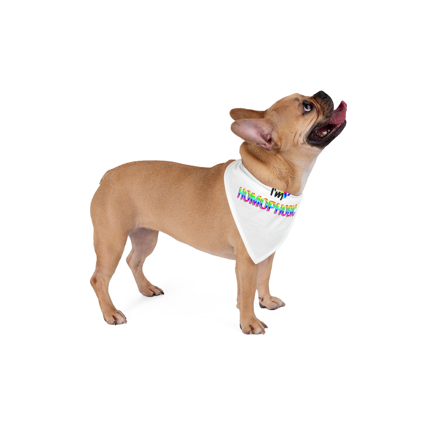 Bandana for your little homophobe