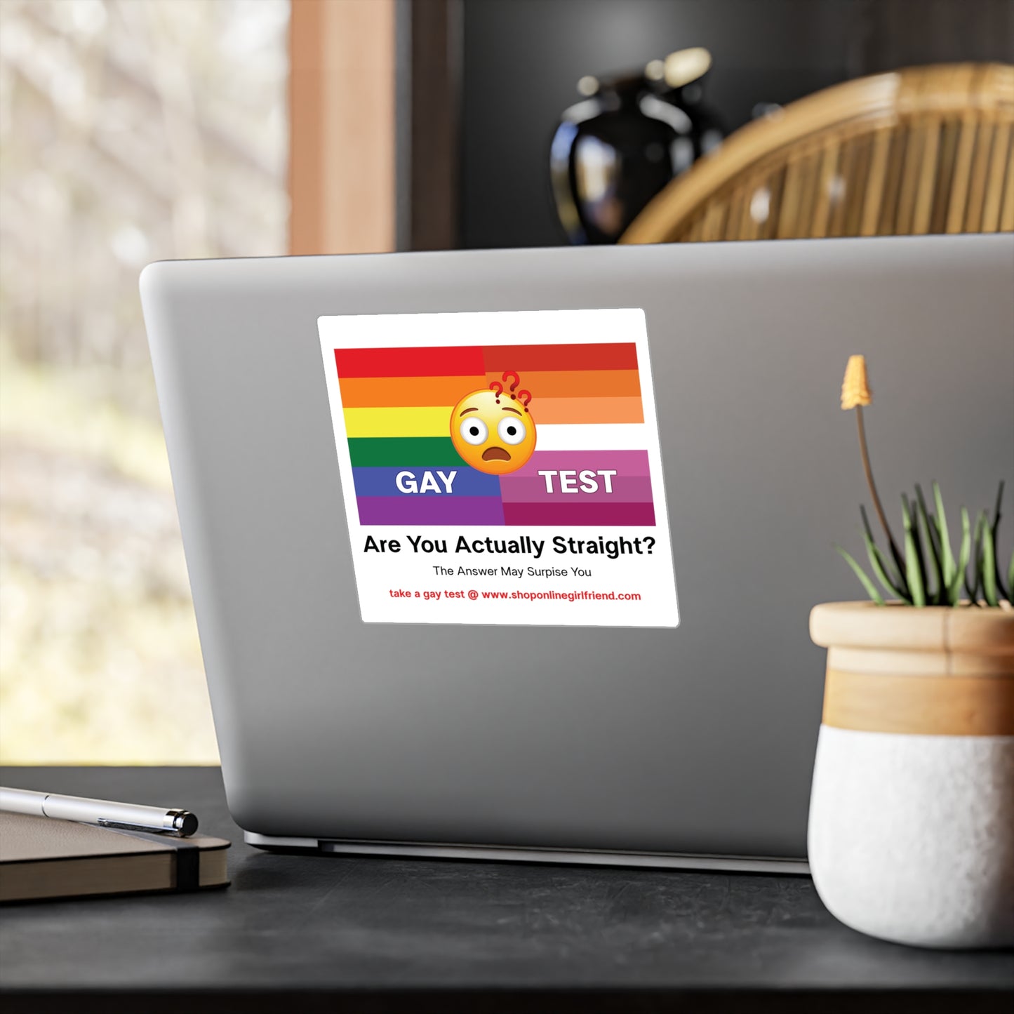 Gay Test Vinyl Sticker