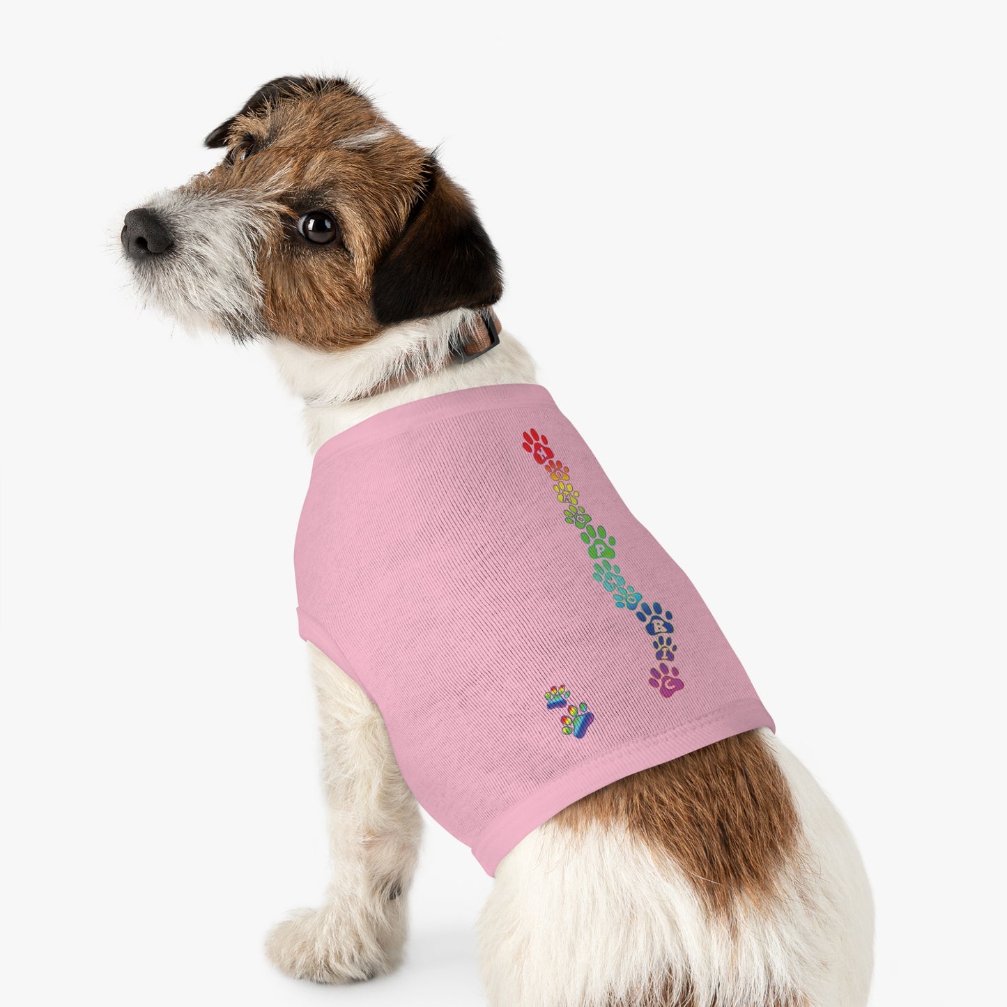 Homophobic shirt for pets